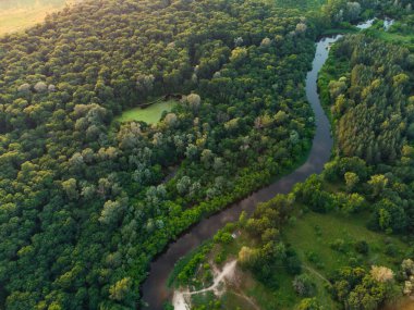Nehrin üzerindeki yeşil ormandaki hava manzarası. İHA fotoğrafı
