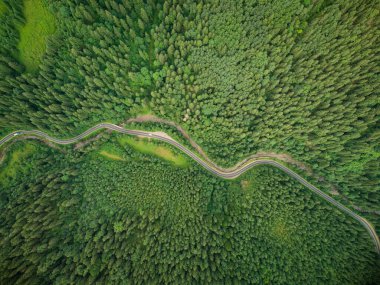 Dağlarda dolambaçlı bir yolun geçtiği kozalaklı bir ormanın yukarıdan görünüşü.