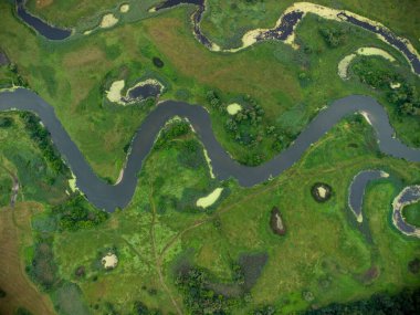 Nehrin üzerindeki yeşil ormandaki hava manzarası. İHA fotoğrafı