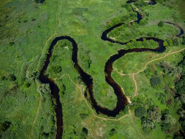 Nehrin üzerindeki yeşil ormandaki hava manzarası. İHA fotoğrafı