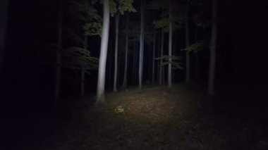 Gece karanlık, gizemli bir ormanda el feneriyle dolaşmak gergin ve dehşet verici bir atmosfer yaratıyor..