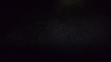 Karanlık bir ormanda el feneriyle koşan bir gencin birinci şahıs görüntüsü. Korku, gizem ve takip edilmenin ürpertici gerilimiyle dolu..