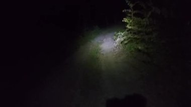 Karanlık bir ormanda el feneriyle koşan bir gencin birinci şahıs görüntüsü. Ayak sesleriyle, orman sesleriyle, uzaktan gelen çığlıklarla ve gergin nefeslerle çevrili..