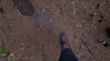 Çam iğneleriyle kaplı bir ormanda yürüyüşün birinci şahıs görüntüsü bir yürüyüşçünün ayaklarını ve doğal zemin dokusunu gösteriyor..