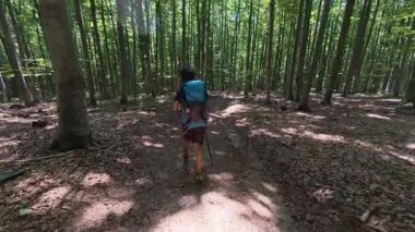 Sırt çantalı bir çocuk yaz güneşinde orman yolunda yürüyor, doğayı keşfediyor ve doğa yürüyüşünün tadını çıkarıyor..