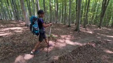 Sırt çantalı bir çocuk yaz güneşinde orman yolunda yürüyor, doğayı keşfediyor ve doğa yürüyüşünün tadını çıkarıyor..