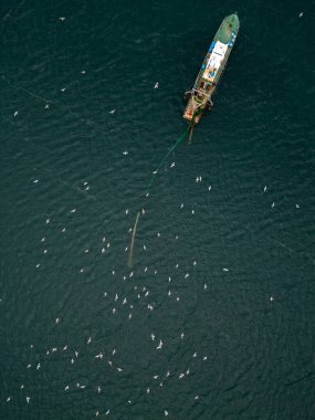 Suyun üzerinde uçan düzinelerce deniz kuşuyla çevrili, denizde uzun bir ağı çeken bir balıkçı teknesinin havadan aşağı görüntüsü..