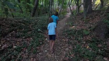 Ağaçlar ve yeşilliklerle çevrili bir orman yolunda yürüyen iki çocuk. Barışçıl doğa yürüyüşü sahnesi çocukluğu, keşfi, doğa bağlantısını ve yavaş yaz macerasını gösteriyor..