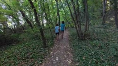 Ağaçlar ve yeşilliklerle çevrili bir orman yolunda yürüyen iki çocuk. Barışçıl doğa yürüyüşü sahnesi çocukluğu, keşfi, doğa bağlantısını ve yavaş yaz macerasını gösteriyor..