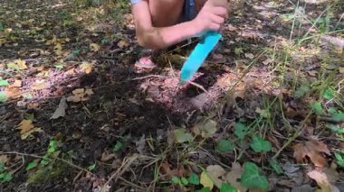 Orman zemininde küçük bir kürekle toprak kazan çocuklara yakın çekim. Açık hava keşfi ve doğada elle öğrenme merakı, keşfi ve dünyayla eğlenceli etkileşimi gösteriyor..