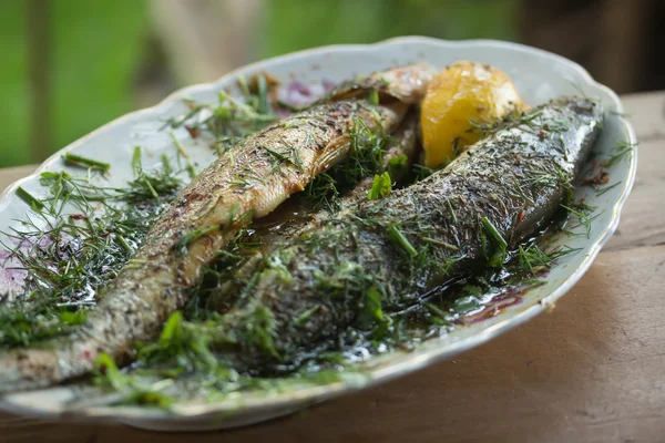 Peixe zander preparado em escabeche — Fotografia de Stock