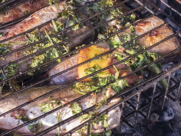 Hot grilled fish — Stock Photo, Image