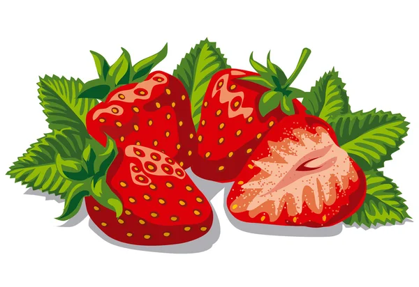 Fresas frescas maduras — Archivo Imágenes Vectoriales