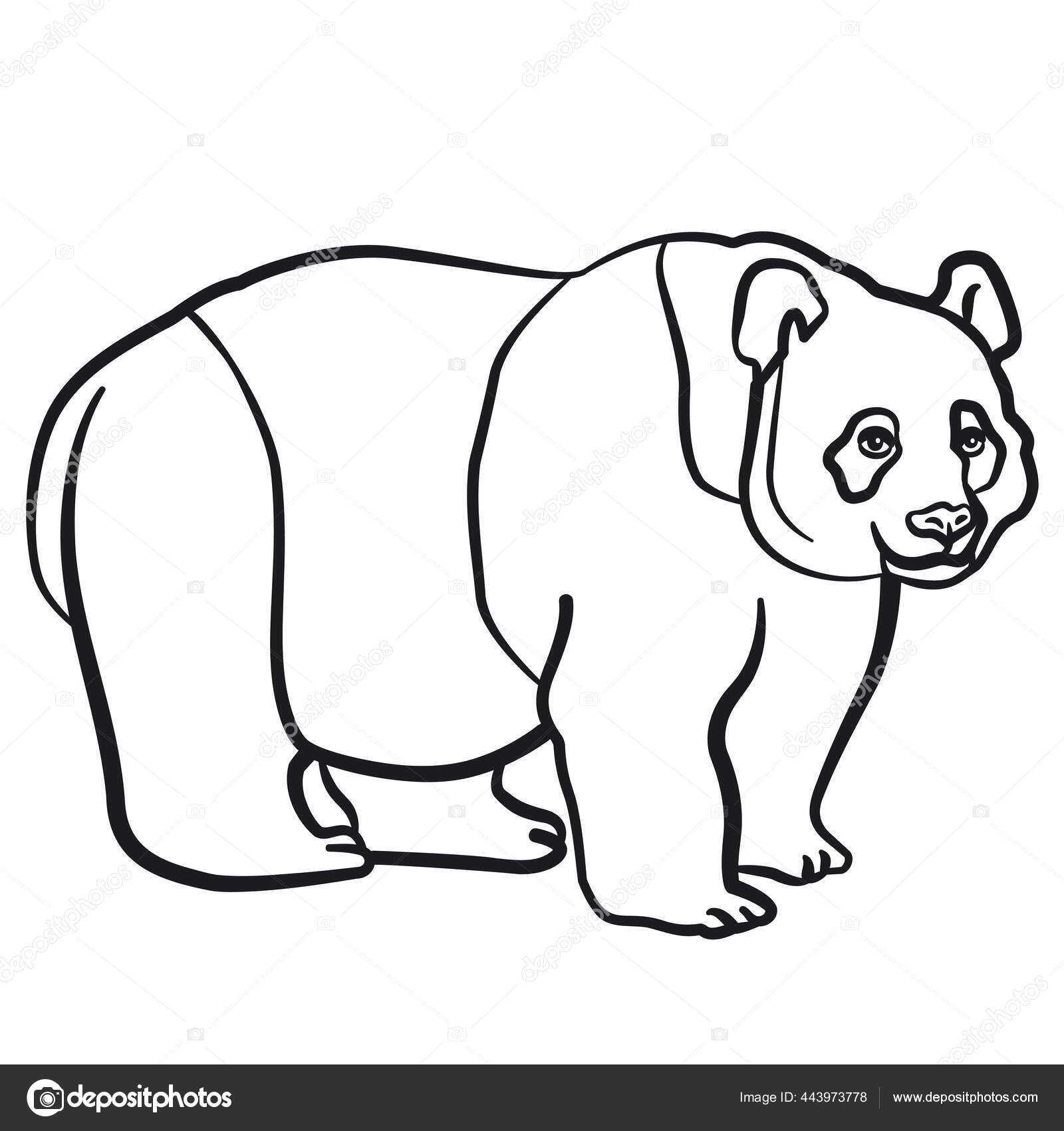 パンダの熊のイラストは ストックベクター C Olegtoka1967 パンダの熊のイラストは ストックベクター C Olegtoka1967