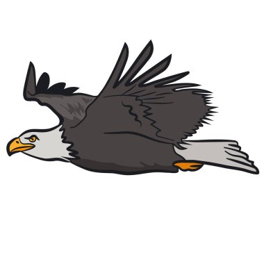 Uçan kartalın çizimi