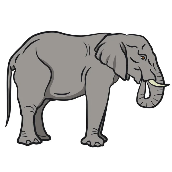 Illustration Den Stora Elefanten — Stock vektor
