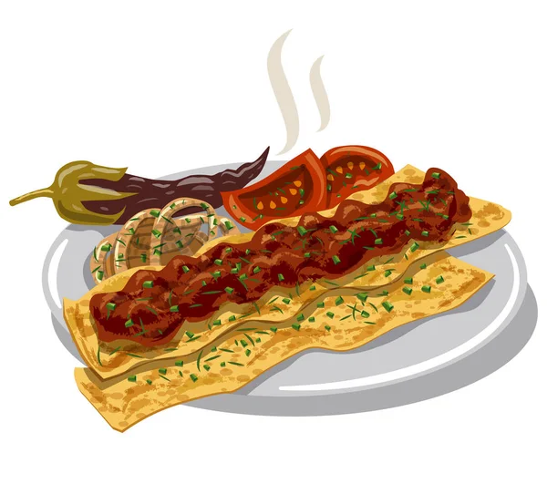 Ilustração Tradicional Turco Adana Kebab — Vetor de Stock