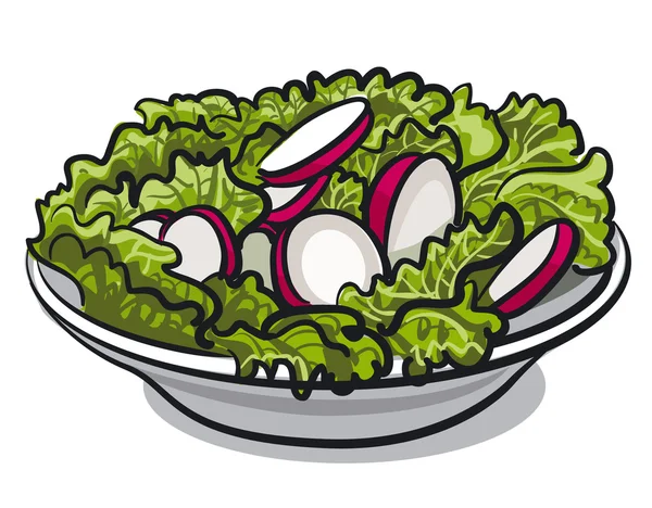 Salada com rabanete fresco e alface —  Vetores de Stock