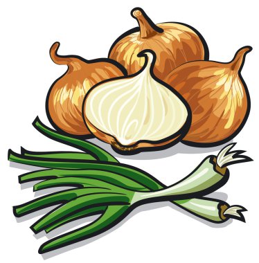 çiğ soğan ve Frenk soğanı