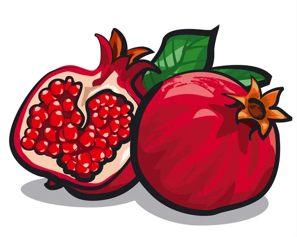 Illustration of the freash pomegranates — Stock Vector