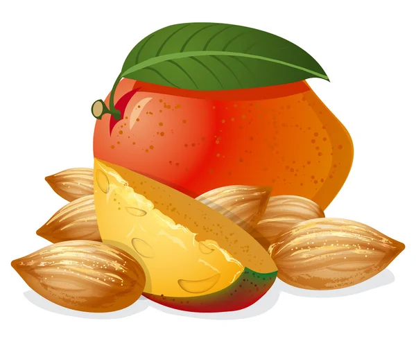 Mango y almendras — Vector de stock