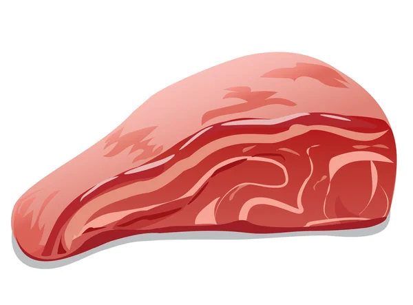 Slice of raw meat — Stock Vector