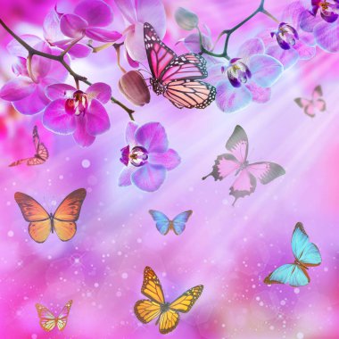 Çiçek üzerindeki kelebek güneşli bulutlu gökyüzüne karşı