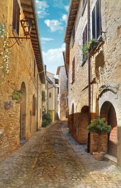 Çiçekli Eski Avrupa Caddesi — Stok fotoğraf