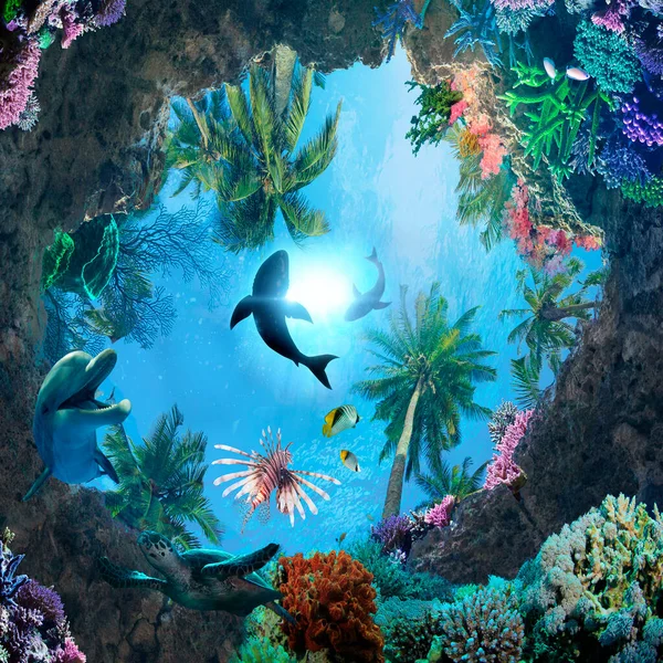 Unterwasserwelt Mit Delfinschildkröten Und Haien — Stockfoto