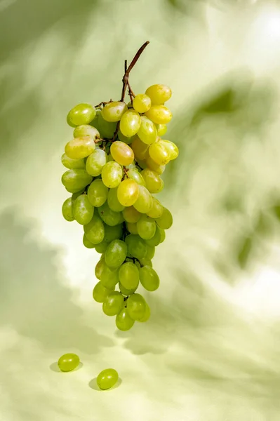 Uvas Frescas Sobre Fundo Verde Com Sombras — Fotografia de Stock