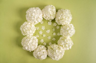 Çiçek kompozisyonu. Yeşil arka planda beyaz çiçeklerden yapılmış yuvarlak çerçeve. Düz yerde, üst tarafta. Beyaz çiçekten yapılmış çelenk.