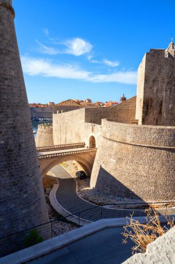 Yeşil çam ağacı ve mavi gökyüzü