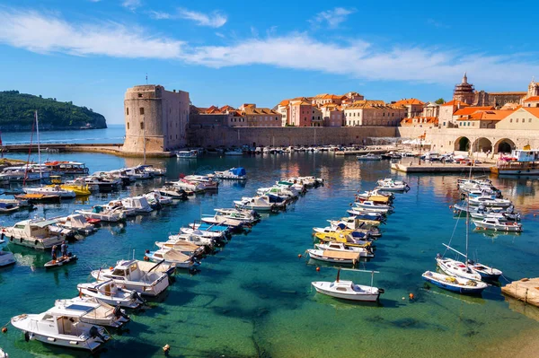 Yeşil çam ağacı ve mavi gökyüzü