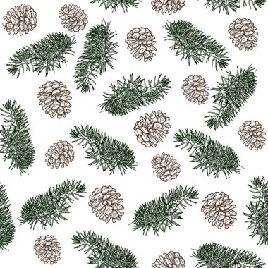 Kusursuz çam kozalakları ve köknar dalları..