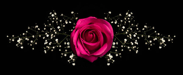 Floral ornament with pink rose and branch with little white flowers. Isolated on black background