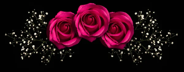Ornamento Floral Con Tres Rosas Rosadas Rama Con Pequeñas Flores —  Fotos de Stock