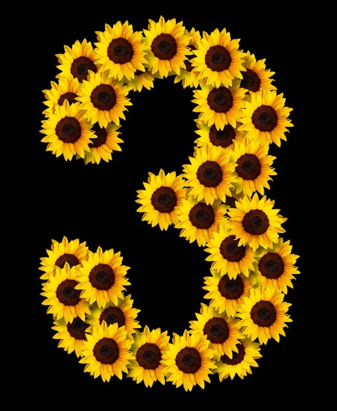 Bild Der Zahl Aus Gelben Sonnenblumen Blumen Isoliert Auf Schwarzem — Stockfoto