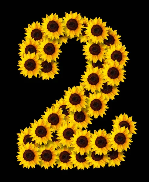 Image Number Made Yellow Sunflowers Flowers Isolated Black Background Design — Stock Photo, Image