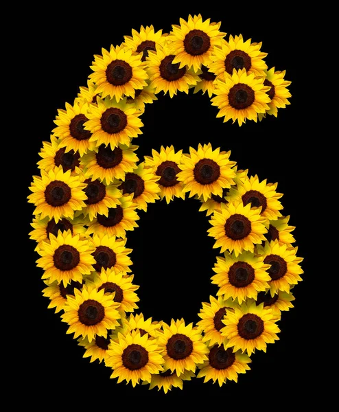 Bild Der Zahl Aus Gelben Sonnenblumen Blumen Isoliert Auf Schwarzem — Stockfoto