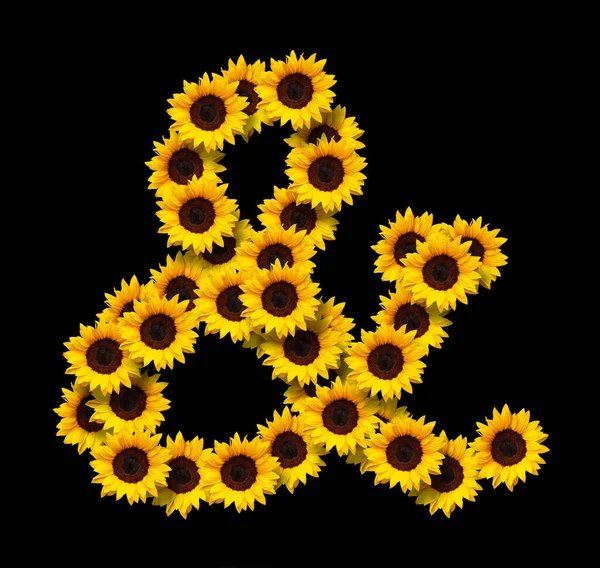 Ampersand Símbolo Hecho Girasoles Amarillos Flores Aisladas Sobre Fondo Negro — Foto de Stock