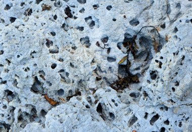 arka plan. taşlar ve kayalar. Doğa Fotoğraf