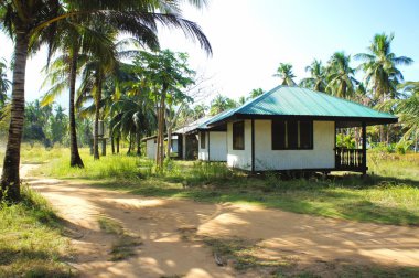 Dinlenmek için bir küçük konuk evi. Filipinler. Palawan Adası .