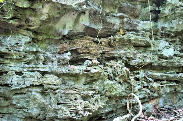 Hintergrund. Steine und Felsen. ein Foto in der Natur — Stockfoto