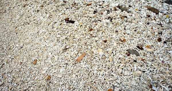 Hintergrund. Steine und Felsen. ein Foto in der Natur — Stockfoto