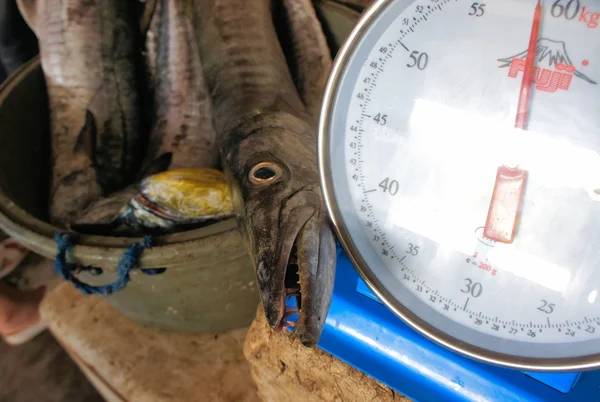 ortak pazarında Satılık balık. Filipinler. Palawan Adası.
