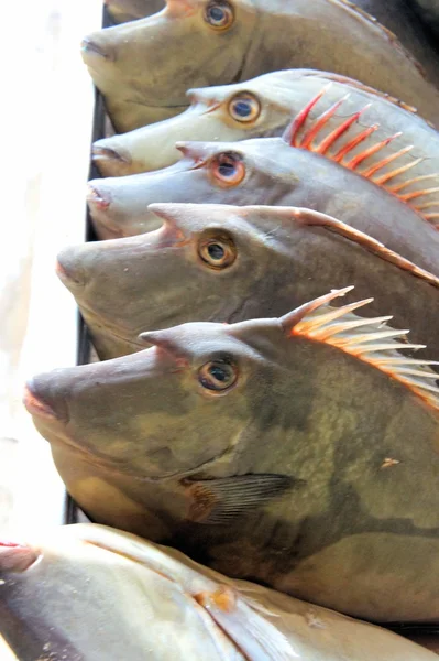 Pesce in vendita nel mercato pubblico. Filippine. Isola di Palawan . — Foto Stock