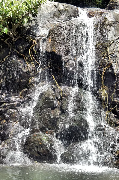 Een kleine waterval in de wilde jungle. Filippijnen. Palawan Island . — Stockfoto