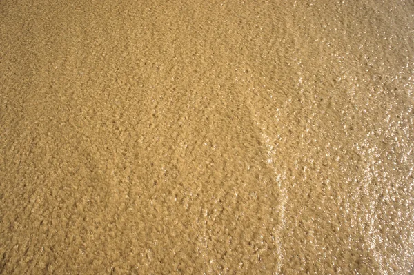 Du sable humide à la plage et de la mousse d'eau. Contexte . — Photo