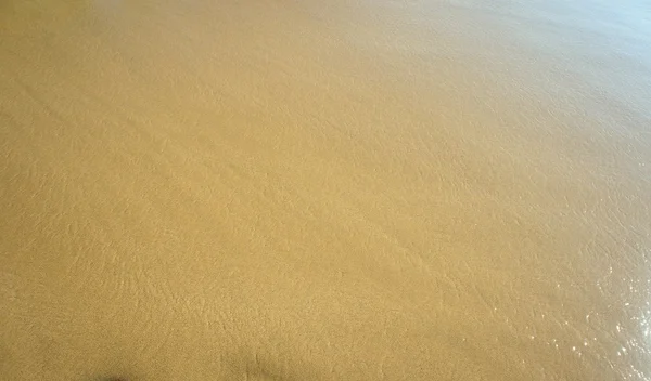 Du sable humide à la plage et de la mousse d'eau. Contexte . — Photo