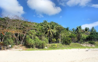 Tropik adaları ile güzel deniz manzarası. Panorama. Filipinler.